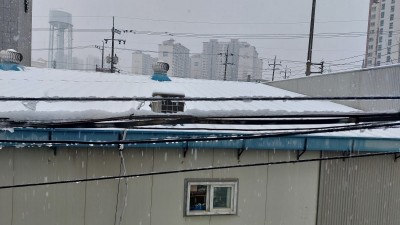 [김영필 교수의 세상 읽기] 서설(瑞雪)